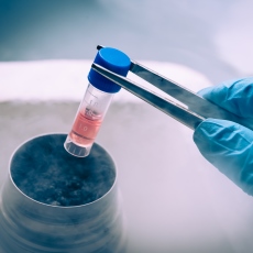 Stem cell therapy for shoulder and rotator cuff injuries